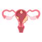 Uterus Cancer Surgery